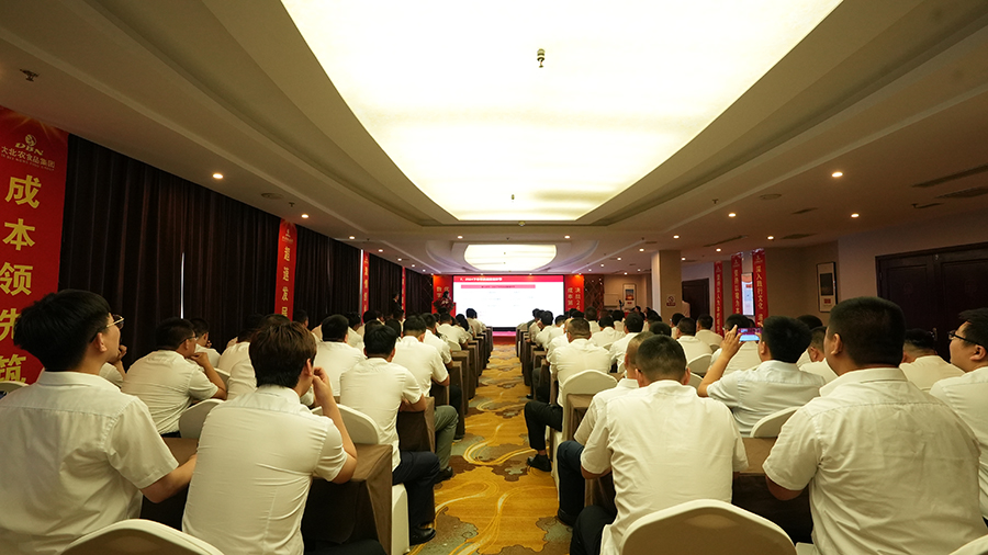 1726207917382552.jpg 4.jpg