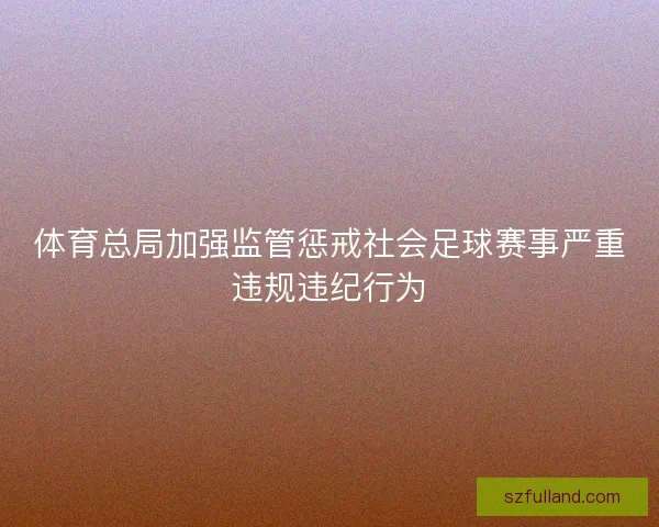 体育总局加强监管惩戒社会足球赛事严重违规违纪行为