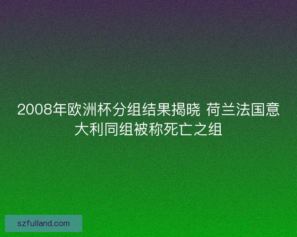 2008年欧洲杯分组结果揭晓 荷兰法国意大利同组被称死亡之组