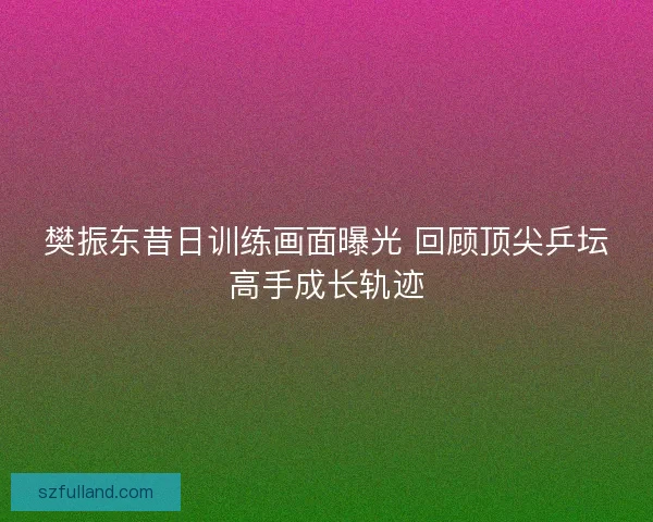 樊振东昔日训练画面曝光 回顾顶尖乒坛高手成长轨迹