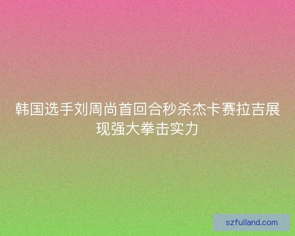 韩国选手刘周尚首回合秒杀杰卡赛拉吉展现强大拳击实力